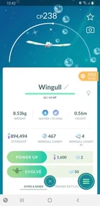✨Shiny Wingull, Pokèmon Go, registrado o ultra amigos✨ - Imagen 1 de 1