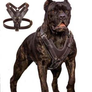 Strong Genuine Leather Dog Harness Adjustable for Large Breeds Pitbull Mastiff - Picture 1 of 13