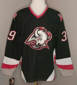 Dominik Hasek Buffalo Sabres Black "1996-2006 Throwback" CCM NHL Jersey - Picture 1 of 2