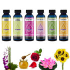 Ensemble de 6 huiles parfumées aromathérapie parfumées arôme de qualité supérieure qualité thérapeutique