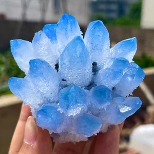 298G New Find Blue Phantom Quartz Crystal Cluster Mineral Specimen - Picture 1 of 20