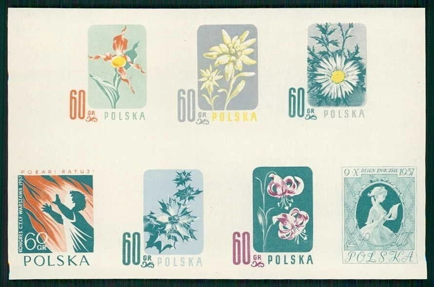 ¡Prueba de flora de Polonia 1957!! ¡RARO!! ¡JUEGO COMPLETO DE FLORES!! + ART m5005 Foto 1 de 2