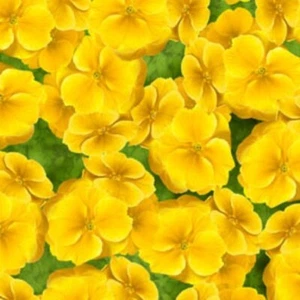 Primrose Path Yellow Floral on Green Cotton fabric by Yard South Sea Import - Picture 1 of 2