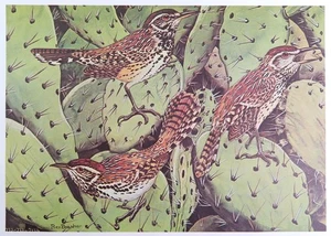 Rex Brasher Bird Print, Cactus Wren on Mules Ear Cactus, 16x12 in. - Picture 1 of 3