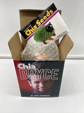 Bryce Harper Washington Nationals Chia Pet 2016 MVP Phillies Bobblehead Phillies Cover