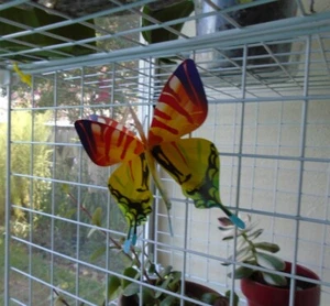 3-D 12pcs  Magnetic Adhesive Colorful  Butterflies Wall Refrigerator  Décor - Picture 1 of 9