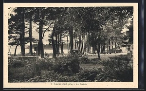 CPA Cavalière, La Pinède - Picture 1 of 2