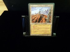 WASTELAND-TEMPEST EDITION-MAGIC THE GATHERING CARD.