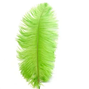 Ostrich Drab Feather 27-32cm - Lime Green *Seconds* Pack of 5 - Imagen 1 de 3