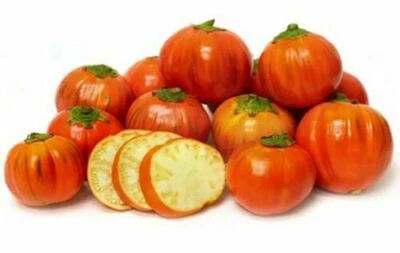 BERENJENA NARANJA TURCA - 25 semillas + GRATIS - Imagen 1 de 2