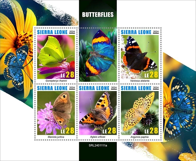 Sierra Leone 2024 Butterflies.  (1111) - Image 1 of 1