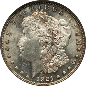 1921 NGC MS62 PL Morgan Silver Dollar, Old Holder, Proof Like Key Date, Toned PQ - Picture 1 of 4