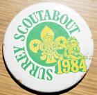 Boy Scouts Girl Guides Vintage Badge Patch Pin Button 