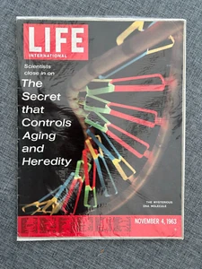 LIFE INTERNATIONAL SECRET DNA DISCOVERY SCIENTISTS NOV 1963 ORIGINAL MAGAZINE - Foto 1 di 1