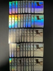 MTG FOIL Tempest Hawk ×50 Tarkir: Dragonstorm TDM Magic MTG Commander Japanese - Picture 1 of 16
