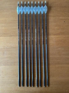 Easton Flatline Carbon arrows - Picture 1 of 2