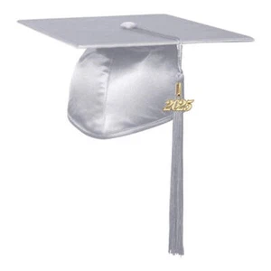 Endea Graduation Shiny Adult Silver Cap & Tassel High School and College - Picture 1 of 21