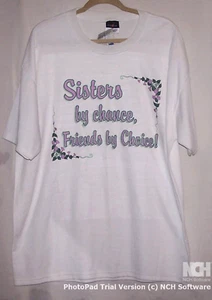 Woman's Tee size 2XL - Picture 1 of 3