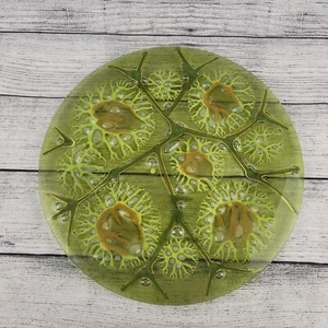 Higgins MCM Green/Gold Fused Art Glass Decorative Plate Signed 11.5" Thistledown - Picture 1 of 7