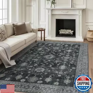 Washable Rugs 6X9 Area Rugs for Living Room, Thin Indoor Chenille Low Pile Ru - Picture 1 of 5