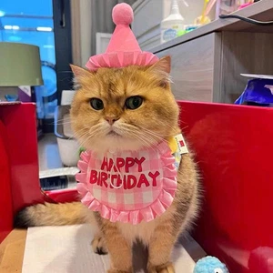 Pet Birthday Hat Bib Cat Set Cute Accessory Scarf Saliva Towel hot' - Foto 1 di 12