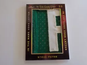 2019 Steve Payne Leaf in the Game Hockey Name Used Letter Patch Card NUL-36 #2/5 - Picture 1 of 2
