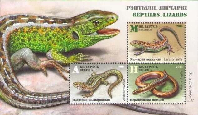 Belarus 2018 Lizards & Worms. Fauna. Souvenir Sheet. MNH - Image 1 of 1