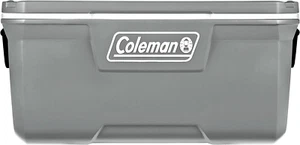 316 Series Insulated Portable Cooler with Heavy Duty Handles, Leak-Proof Outdoor - Picture 1 of 6