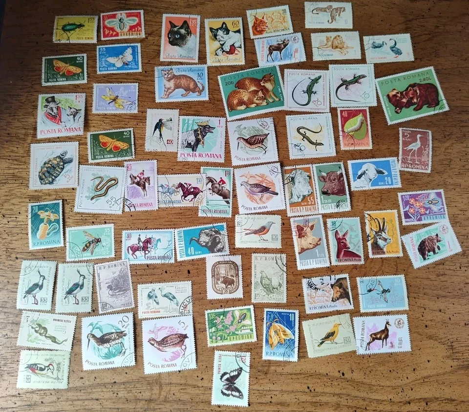 Lote de 60 SELLOS ANIMALES RUMANÍA Lote Usado CTO Bisagras Gatos, Insectos, Pájaros, Osos Foto 1 de 4