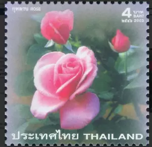Thailand 2003 Roses Rose Flower Flora Unique Unusual Fragrant Stamp 1v MNH - Picture 1 of 2