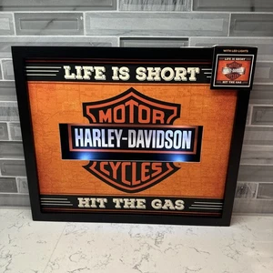 Hallmark~Harley Davidson~Casa/Bar/Man Cave Wall Decor LED Insegna Luminosa 3D~NUOVO! - Foto 1 di 11