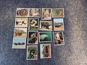 Vintage Panani Sticker Album Sticker Disney Tailspin Archie and Animals see Pics - Picture 1 of 5
