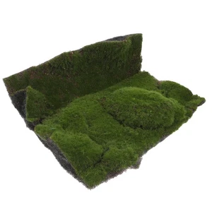 Alfombra de musgo artificial césped simulado casa de muñecas alfombra hierba artesanal plantas - Imagen 1 de 12