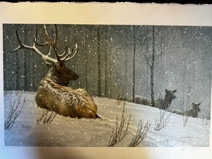 Robert Bateman 1979 Lithographie ABENDSCHNEEFALL American Elk S&N LE 362/950 31" - Bild 1 von 13