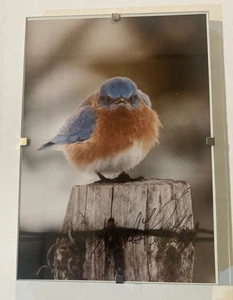 VINTAGE MAD BLUEBIRD DRUCK SIGNIERT VOM FOTOGRAFEN MICHAEL SMITH 1979 5 X 7 ZOLL - Bild 1 von 4
