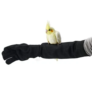 Bird Training Anti-Bite Gloves Level 5 Protection Parrot Chewing Working - Picture 1 of 7
