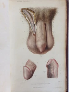 Generationengeschichte bei Mann und Frau / David Richard /1875 - Bild 1 von 8