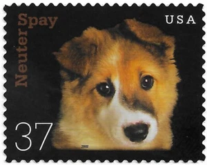 STAMP US SCOTT 3671 "Puppy" 37 CENT 2002 MNH - Picture 1 of 1