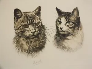 Danet - Eau forte ou Lithographie signée - Zouzou et Nono Chats - Imagen 1 de 4