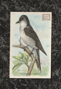 Tarjeta de refresco marca Cow 1915 útil Birds of America #16 Flycatcher M E Eaton 3x1,75 - Imagen 1 de 2