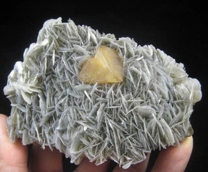 Perfekte Pyramide Oktaeder Scheelite auf Moskauer Matrix Mineral China CM361410 - Bild 1 von 4
