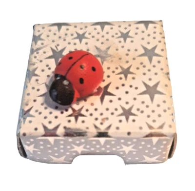 Ladybug Caja de Regalo Pequeña Vacía 1.25 Pulgadas Cuadradas Estrellas Plateadas Foto 1 de 4
