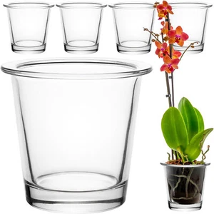 6 Stück Orchideentopf Blumentopf Orchideenvase Orchideen Glas Übertopf Vase - Bild 1 von 7