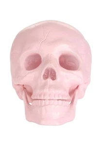 Rosa Pastell Totenkopf Deko - Bild 1 von 1