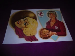 TORINO CALCIO Decalcoplastica ANNI 60/70 DIMENSIONI CARTOLINA - BELLA - Imagen 1 de 2