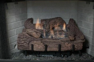 24 Inch Palmetto Oak 6-Piece Log Set , Millivolt Burner Remote Control Propane - Image 1 of 2