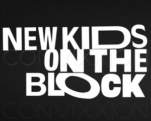 NEW KIDS ON THE BLOCK VINYL DECAL RETRO LOGO NKOTB Blockhead Sticker 5.5" - Picture 1 of 23