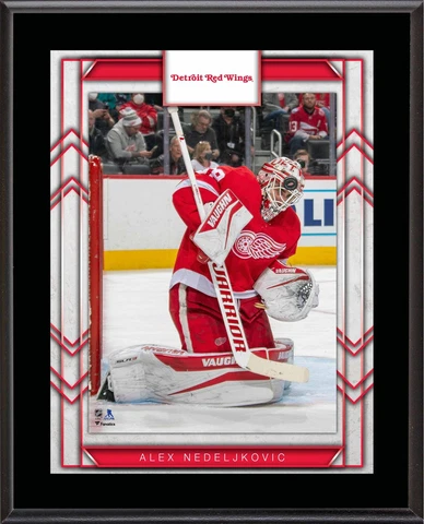 Alex Nedeljkovic Detroit Red Wings 10.5" x 13" Sublimated Player Plaque Cover