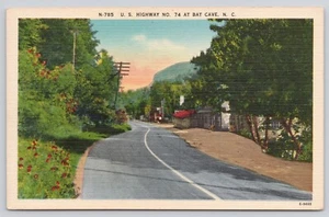 U.S. Highway No. 74 At Bat Cave North Carolina NC Telephone Pole Postcard - Picture 1 of 2