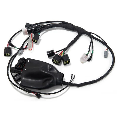 TARAZON For Sur-Ron Light Bee LBX Full Main Wire Wiring Assy Harness Electric Bike eBike